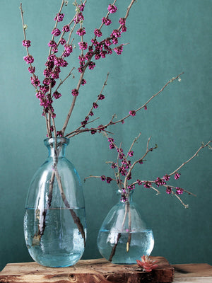 Water Blue Irregular Shaped Transparent Glass Vases